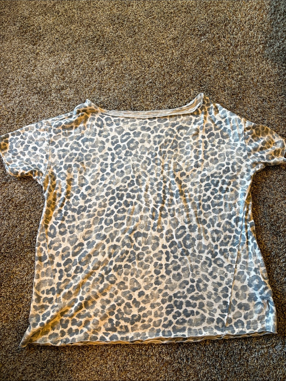 Aerie Leopard Print Off the Shoulder Shirt